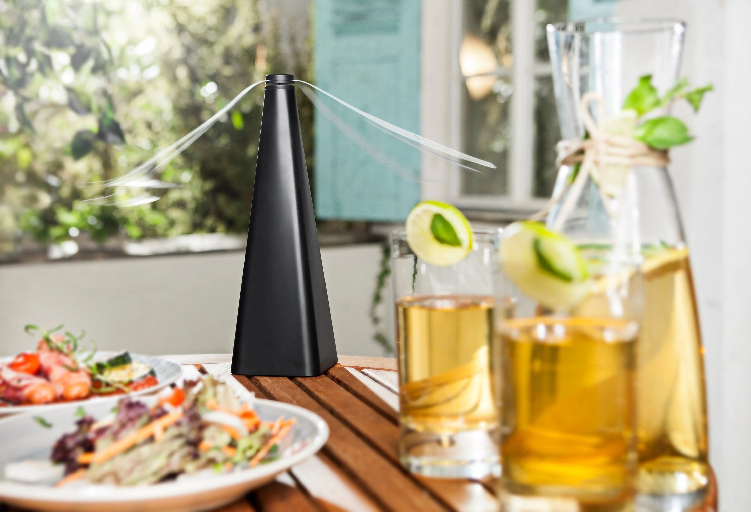 Portable Fan Fly Repellent Fan — DigiMall